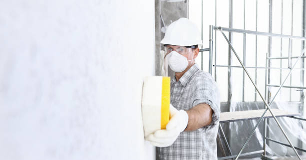 Best Commercial Mold Inspection  in Destrehan, LA